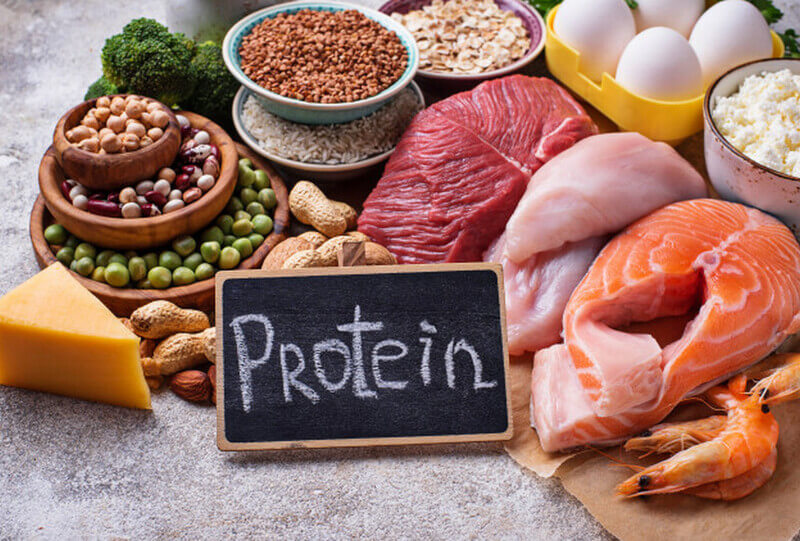 2) Protein giúp cho quá trình cải thiện các nhóm cơ