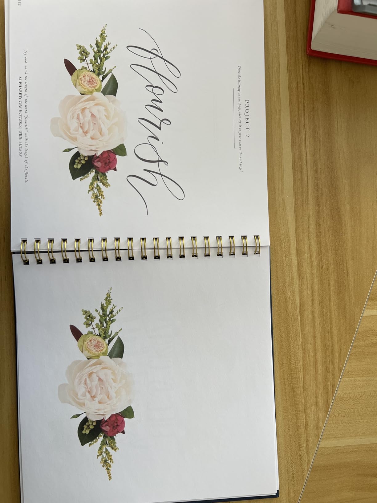 Pretty Simple Lettering: A Step-by-Step Hand Lettering and Modern Calligraphy Workbook for Beginners (Premium Spiral-Bound Hardcover) customer photo 2