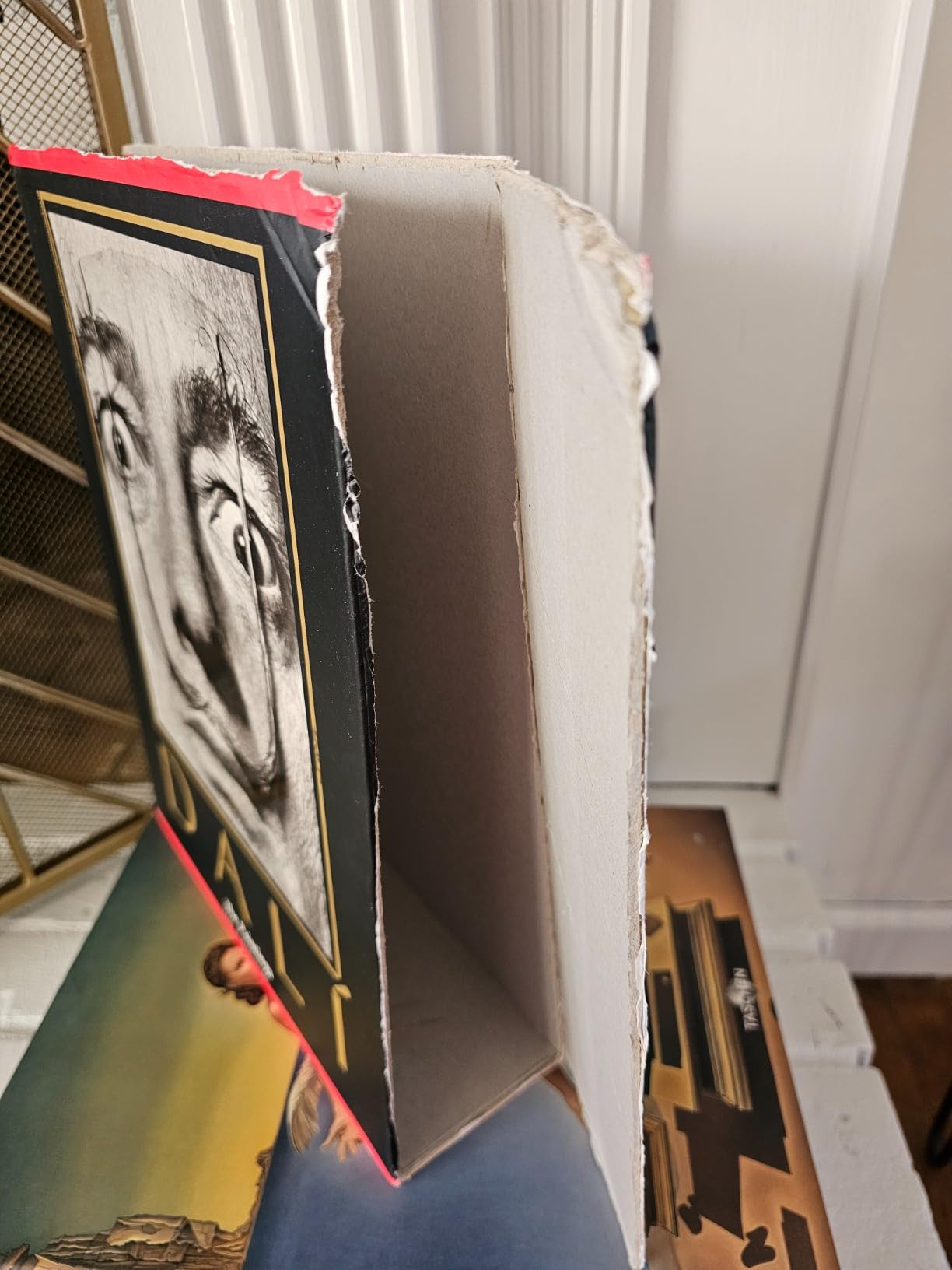 Salvador Dalí: The Paintings, 2 Vol. customer photo 2