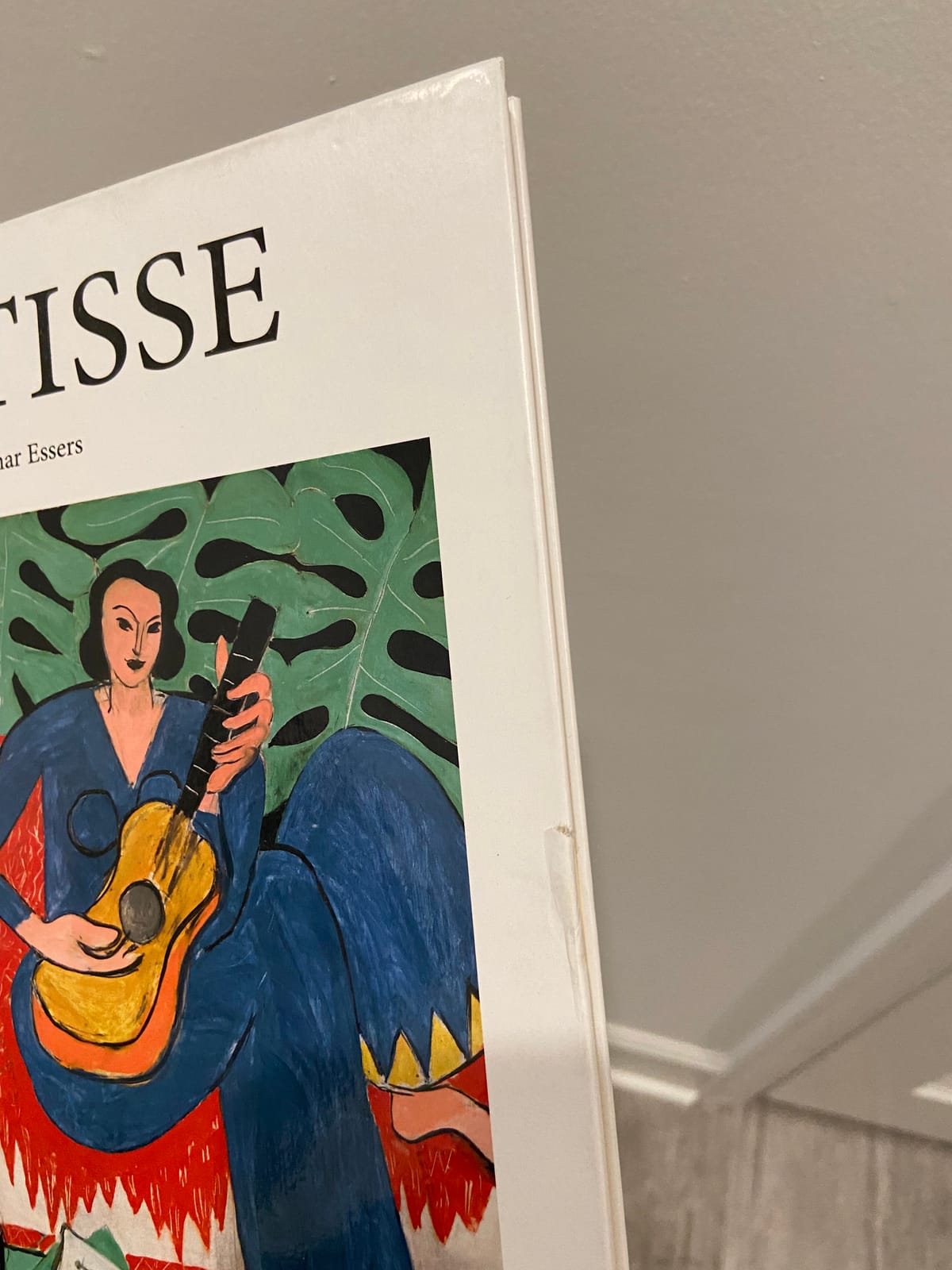 Matisse (Basic Art) customer photo 1