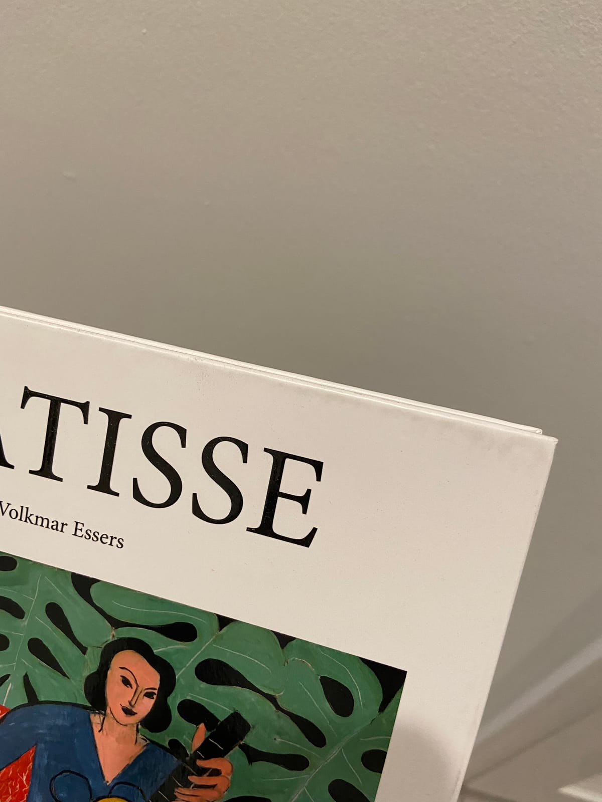 Matisse (Basic Art) customer photo 2