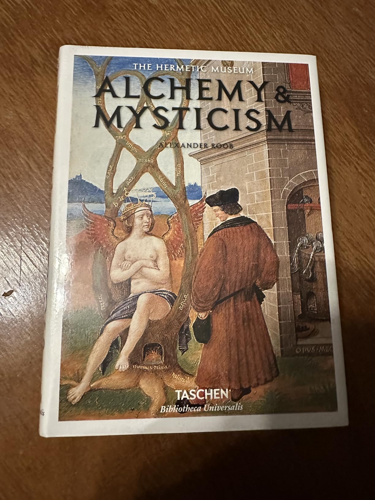 Alchemy & Mysticism (Hermetic Museum) customer photo 1