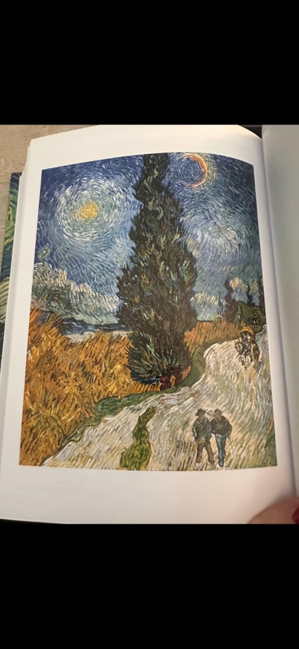 Van Gogh. The Complete Paintings (Bibliotheca Universalis) customer photo 2