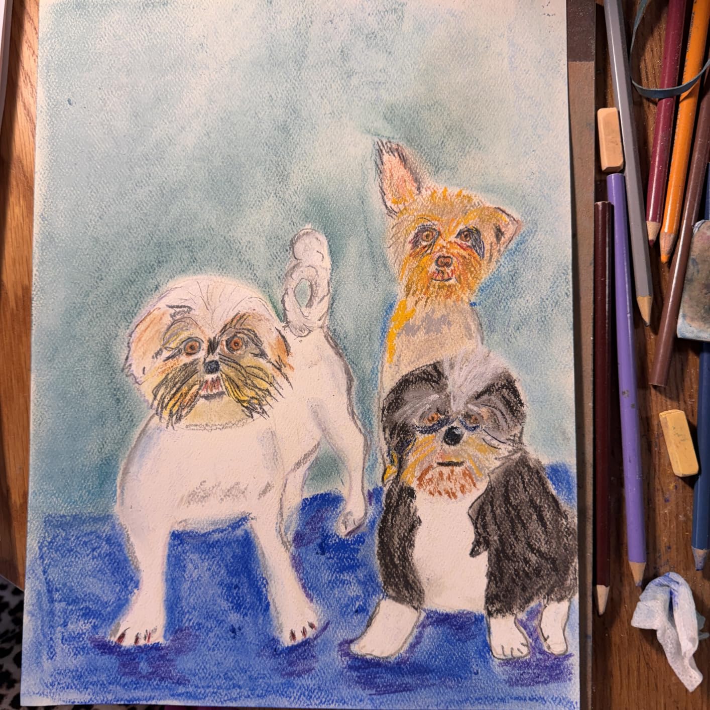 Strathmore 400 Series Tape Bound Pastel Pad, 80 lb. Textured Surface, 9 X 12 inches, Assorted Colors, 24 Sheets (403-9) customer photo 1