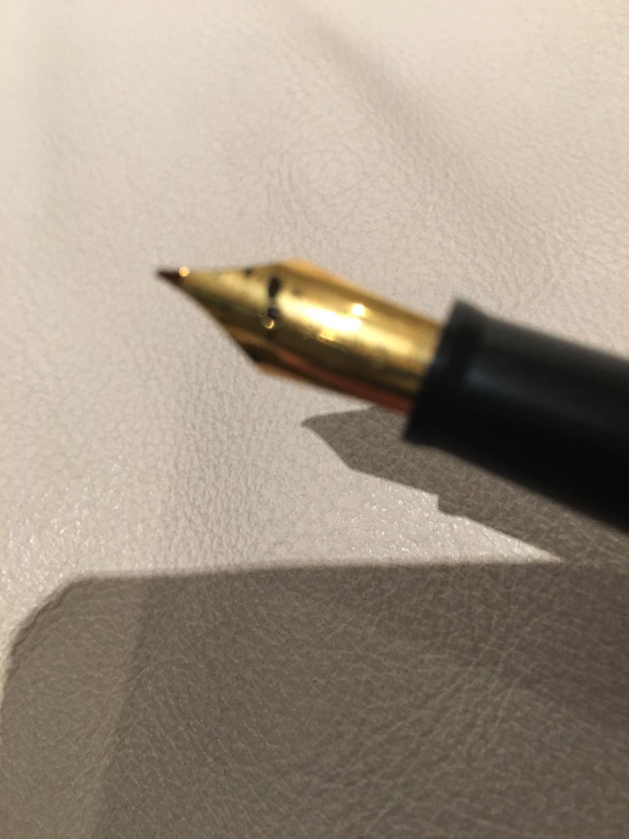 Sailor Fude De Mannen - Stroke Style Calligraphy Fountain Pen - Bamboo Green - Nib Angle 55 Degrees (11-0127-767) customer photo 1