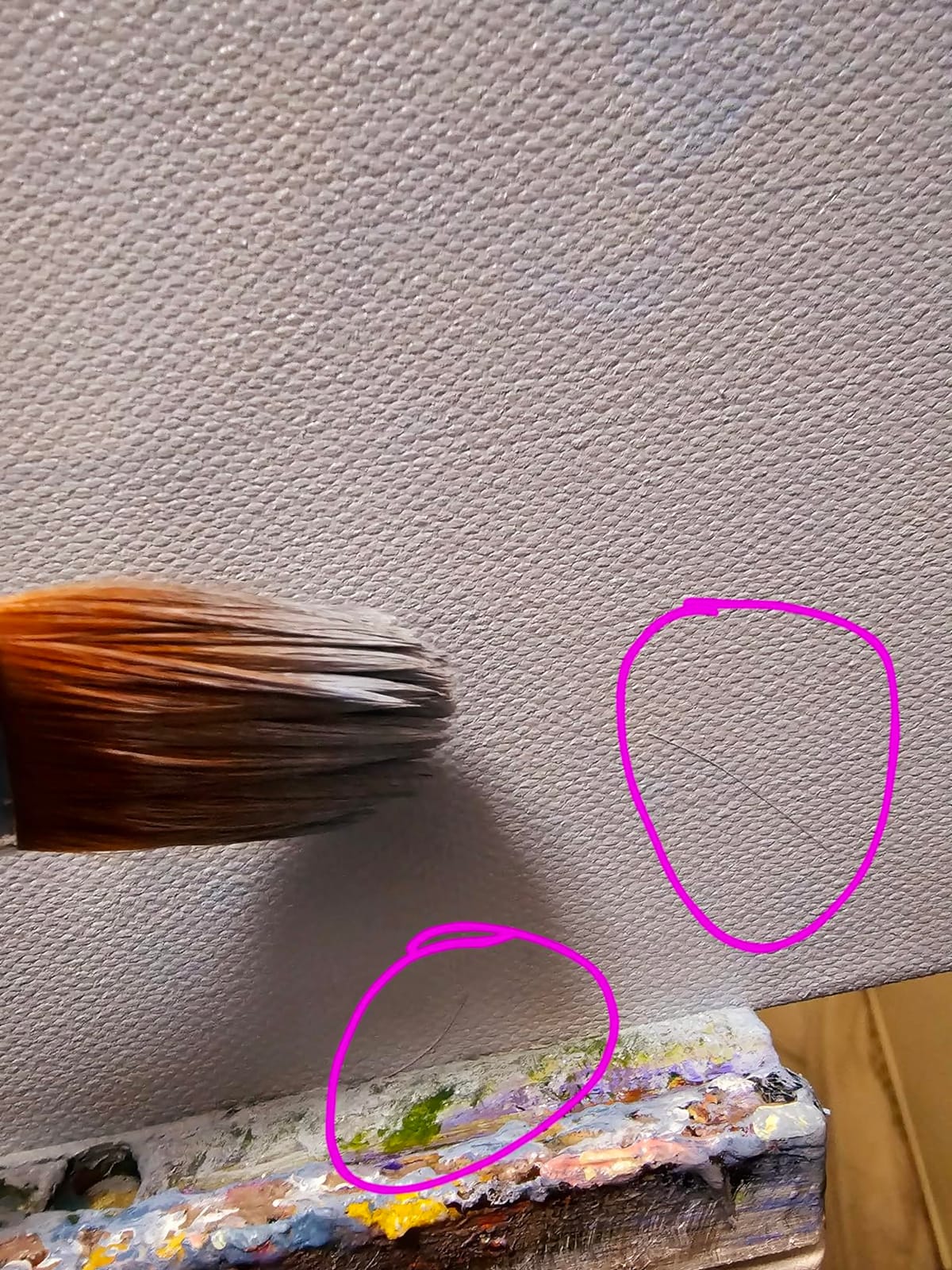 Princeton Select Artiste, Series 3750, Paint Brush for Acrylic, Watercolor and Oil, Oval Mop, 1/2 Inch customer photo 2