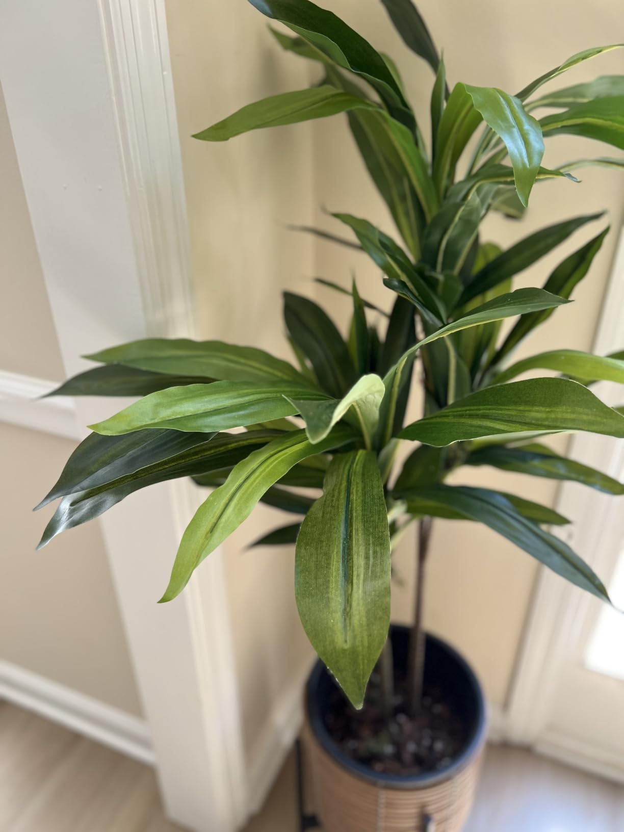 Nearly Natural 48 in Artificial Dracaena Real Touch Plant with Pot customer photo 1