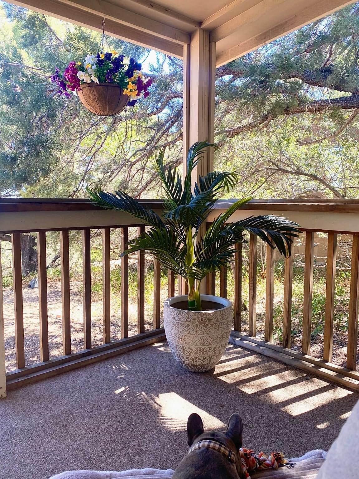 Nearly Natural 4 ft Artificial Golden Cane Palm Tree with Nursery Pot customer photo 1