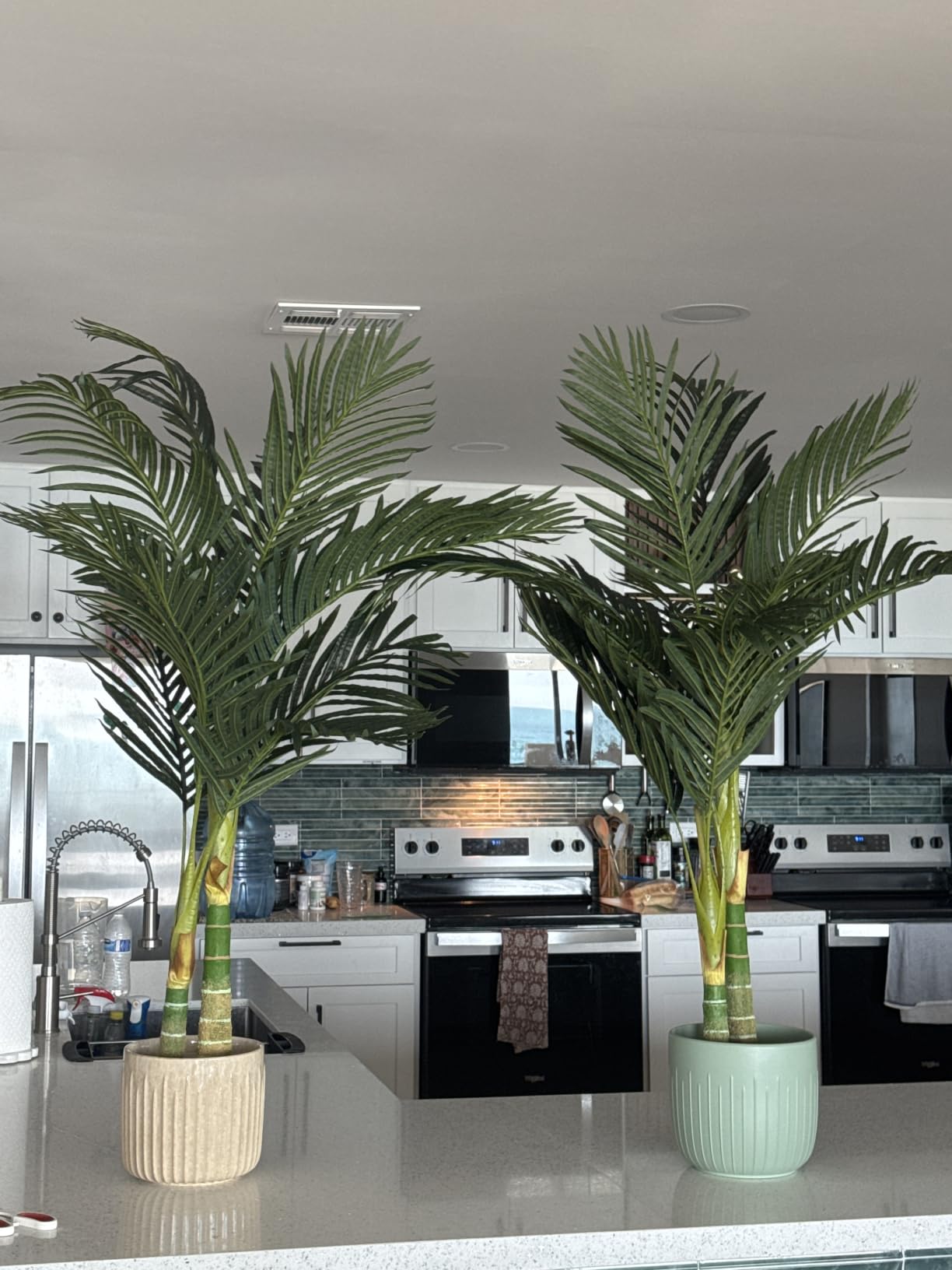 Nearly Natural 4 ft Artificial Golden Cane Palm Tree with Nursery Pot customer photo 2