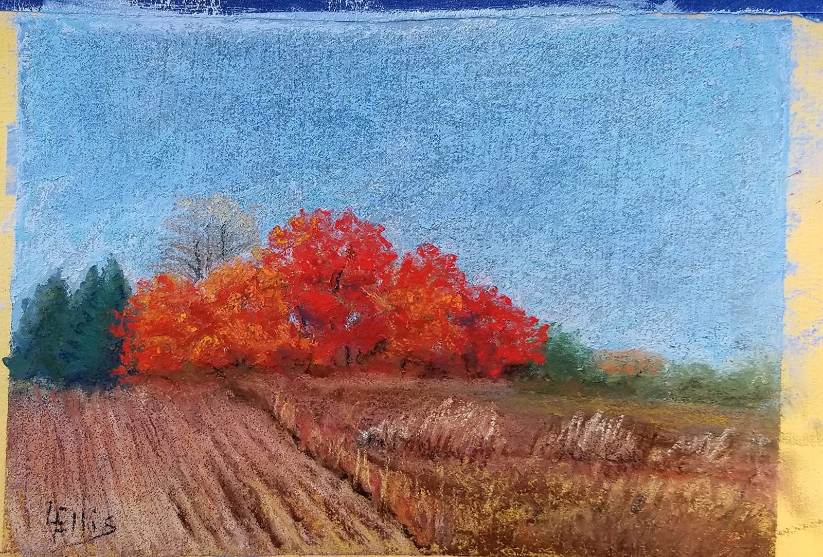 SENNELIER Extra-Soft French Half Pastel Landscape Professional Artist Box Set, 30-Colors customer photo 1