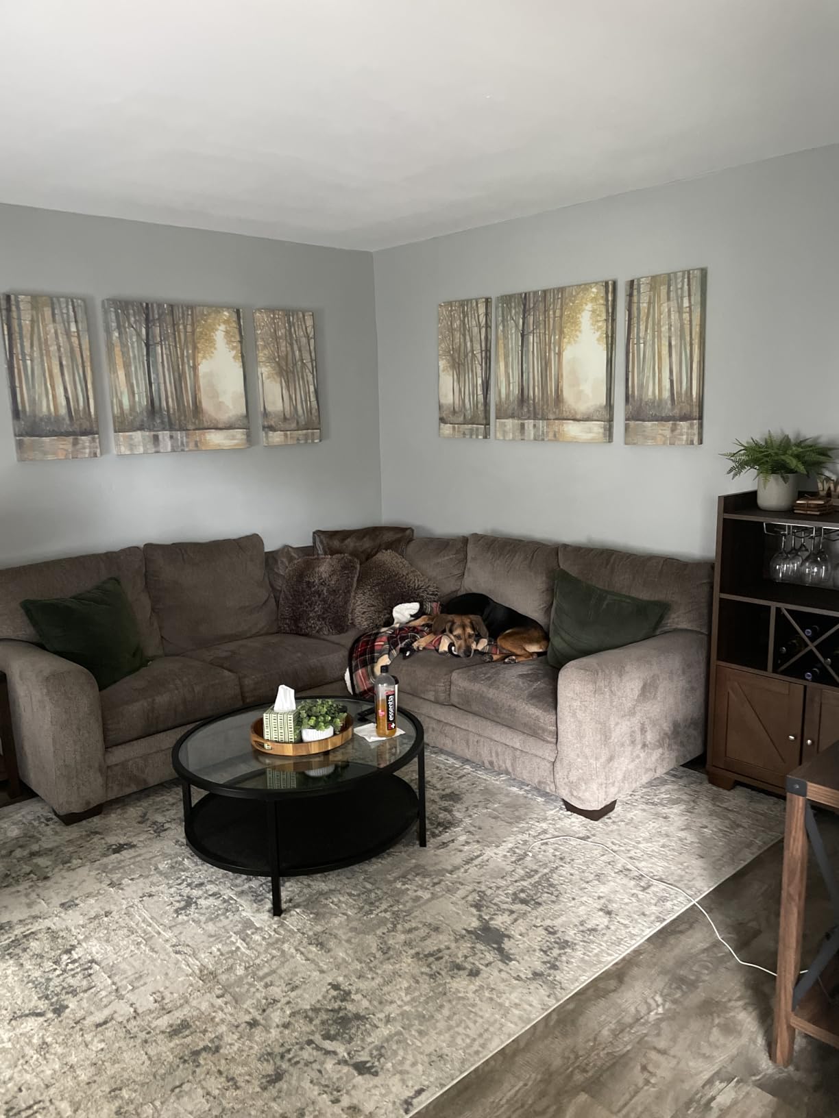 Madison Park Wall Art Living Room Décor - Triptych Scenery Watercolor Canvas, Home Accent Modern Dining Decoration, Ready to Hang Painting for Bedroom, Multi-Sizes, Natural Forest Reflection 3 Piece customer photo 1