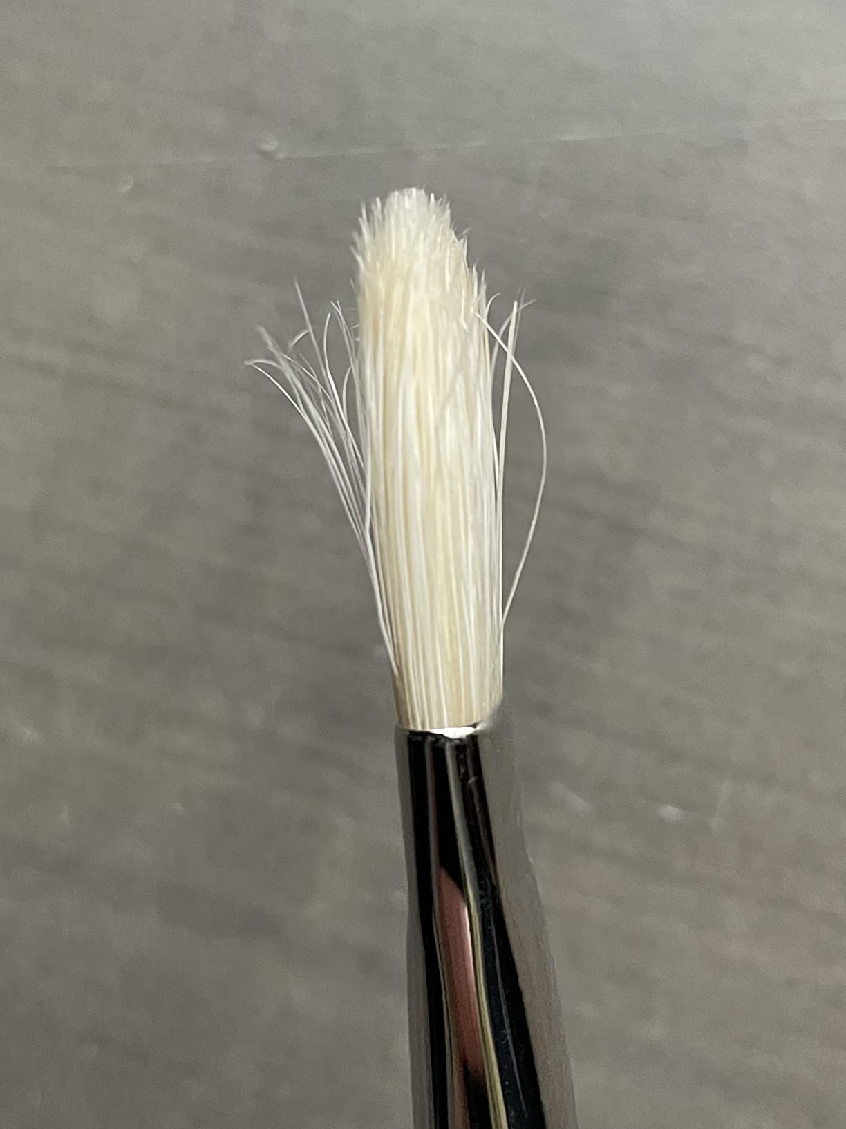 Winsor & Newton Winton Long Handle Brush (5 Pack) (Round 6, Filbert 6, Flat 6, Bright 8, Fan 3) customer photo 1
