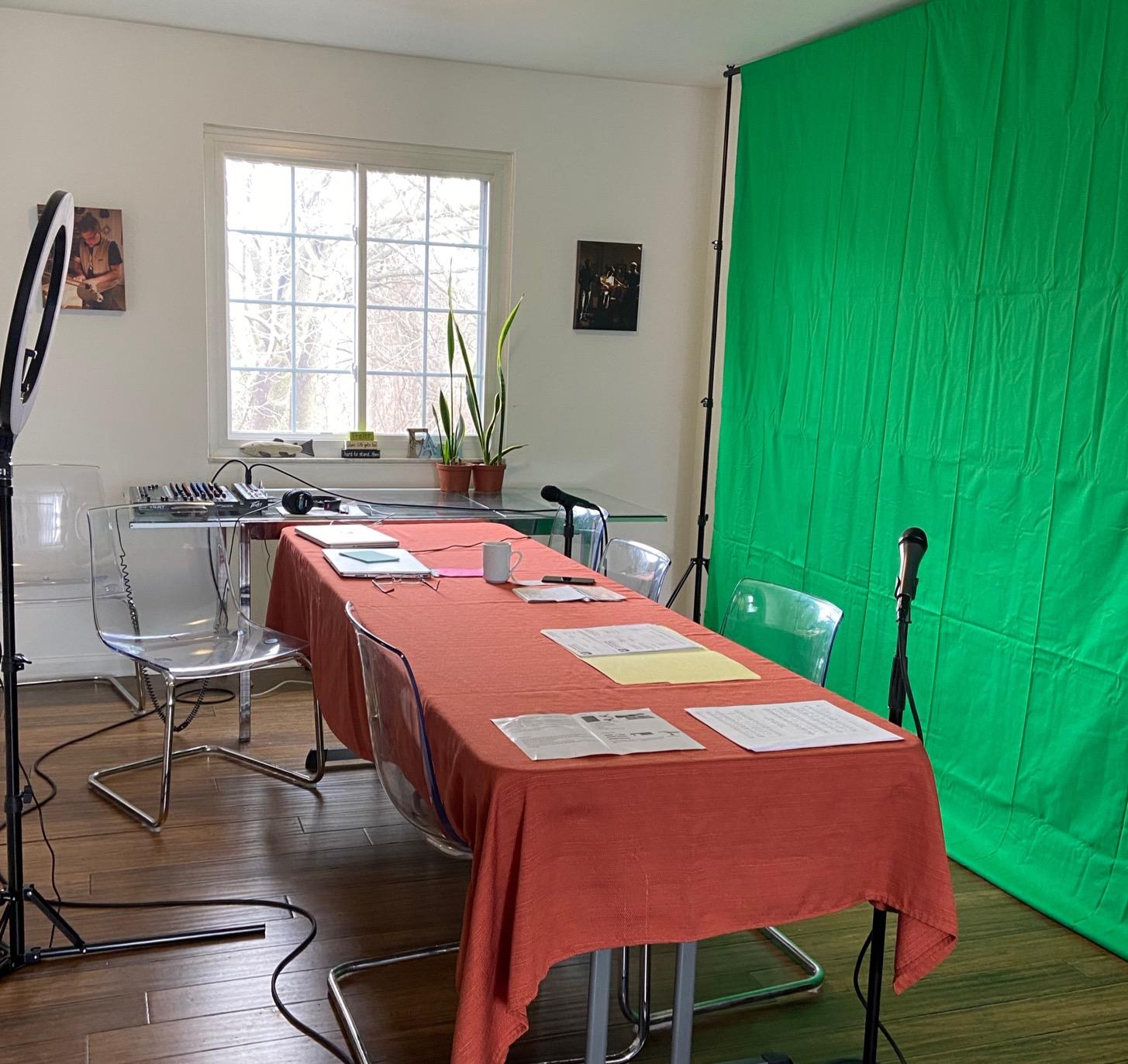 EMART Green Screen Backdrop Kit, 8.5x10FT Stand with 10x12FT Backdrop customer photo 1