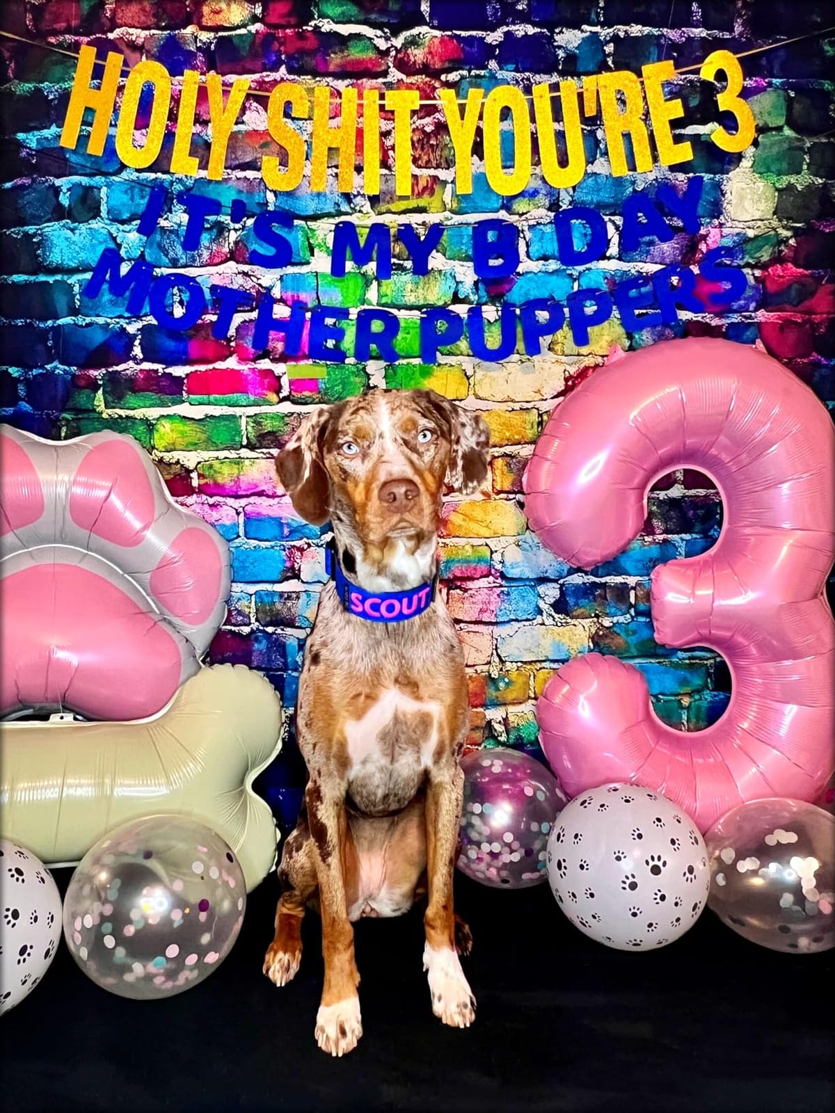 Graffiti Photography Backdrop, 5x7 ft Colorful Brick Wall Vintage Cement Floor Backdrop for Studio Props Photo Background customer photo 2
