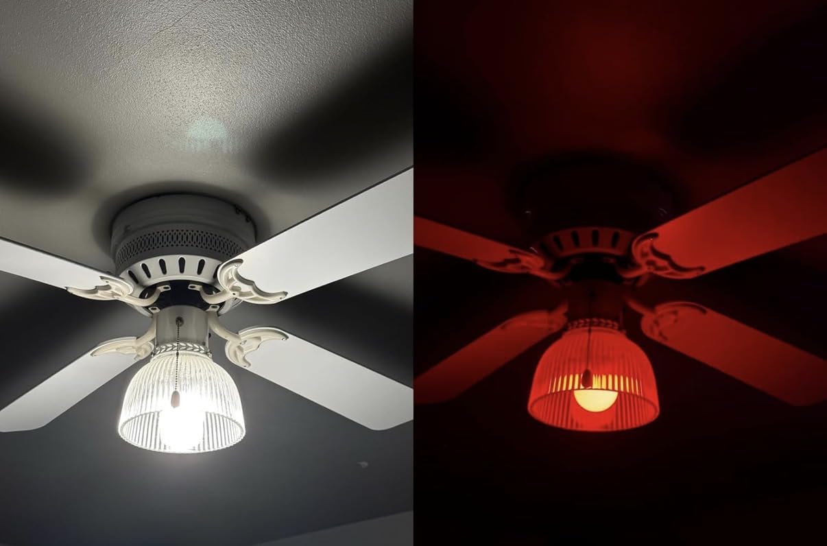 Feit Electric Smart Light Bulbs, A19 RGBW Color Changing - 60W Eq - 1 Pack customer photo 1