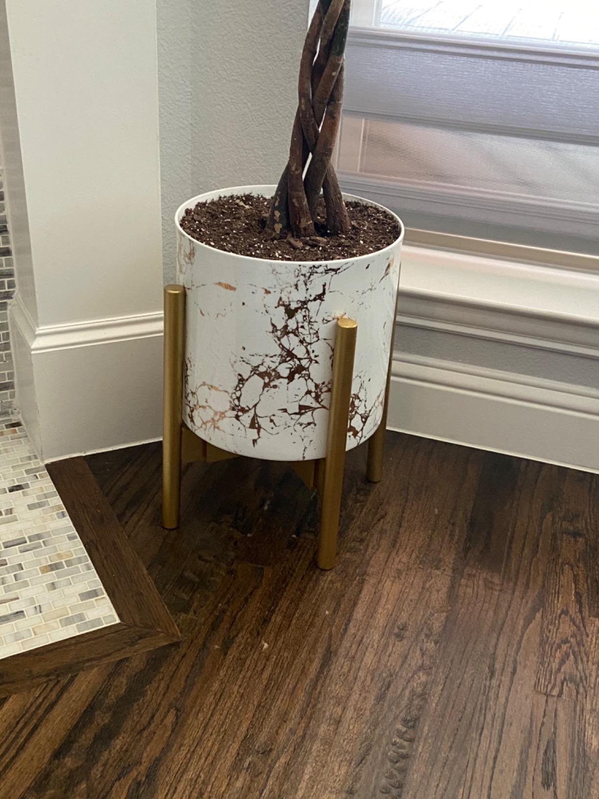 ZPirates Plant Stand for Indoor - Adjustable, Bamboo customer photo 1