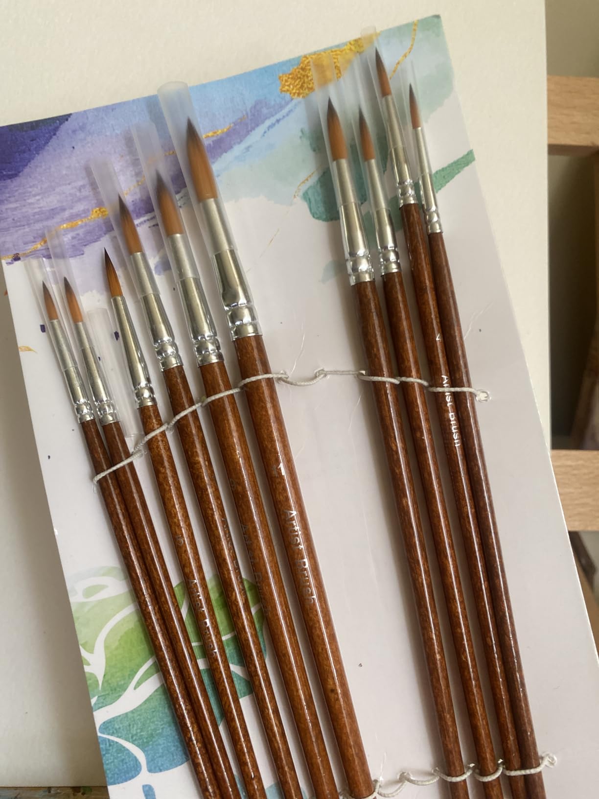Watercolor Paint Brushes FENORKEY 12Pcs Round for Watercolor, Acrylic & Gouache customer photo 1