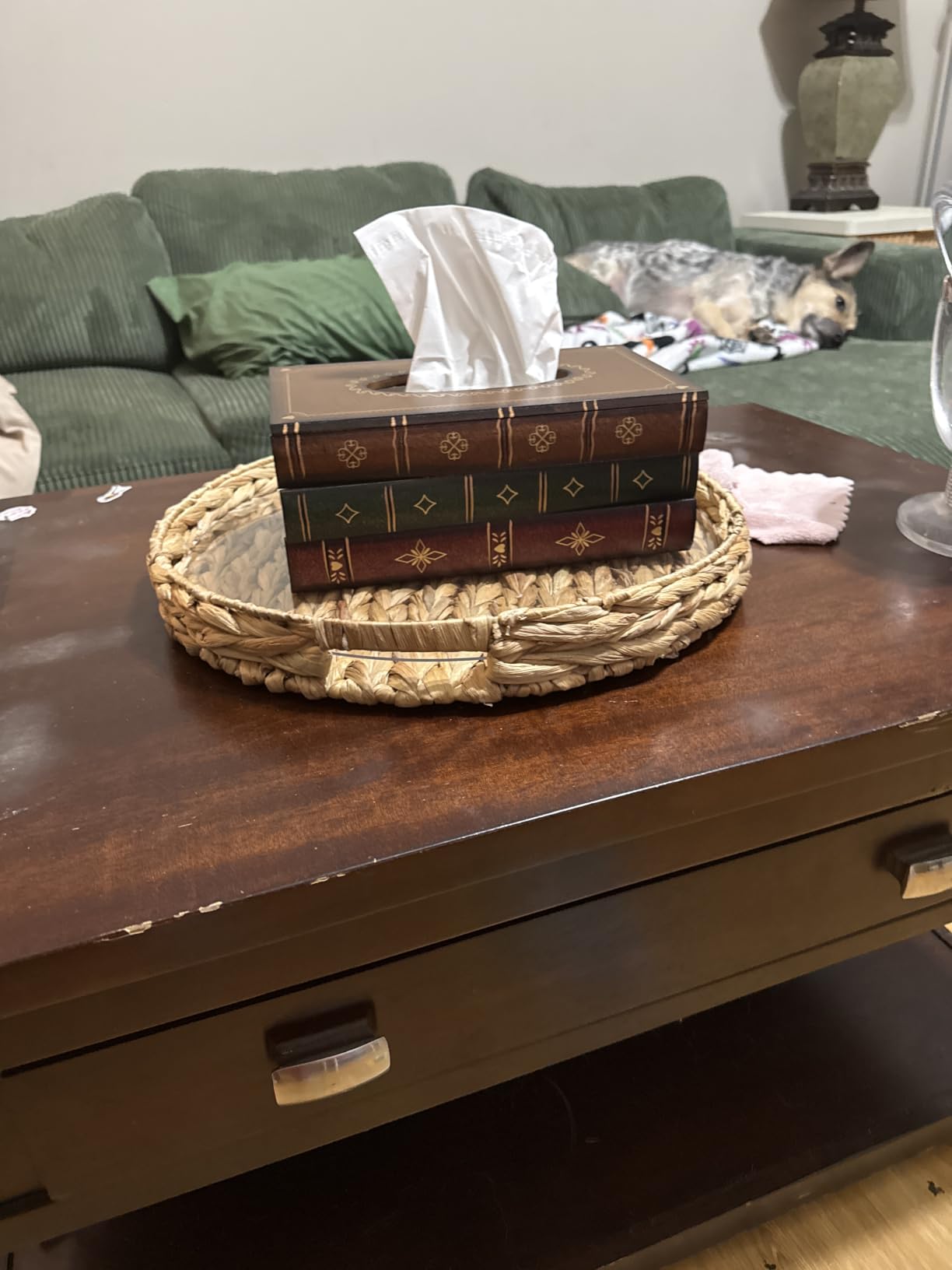 Retro Wooden Antique Book Tissue Box Cover Rectangular Home Library Decor customer photo 1