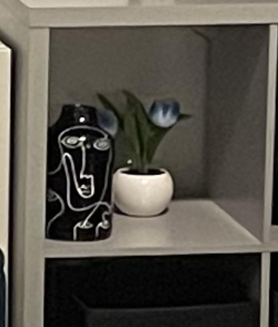 Kimdio Ceramic Vase for Home Decor, Abstract Irregular Design Flower Vase, Living Room Decor Minimalist Decorative Vases for Pampas Grass customer photo 2