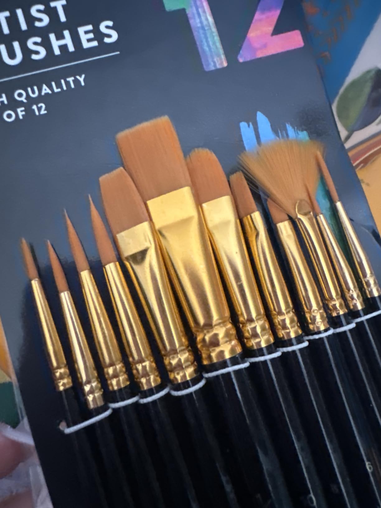 Professional Artist Paint Brush Set of 12 - Painting Brushes Kit for Kids, Adults Fabulous for Canvas, Watercolor & Fabric - for Beginners and Professionals - Great for Water, Oil or Acrylic Painting customer photo 1