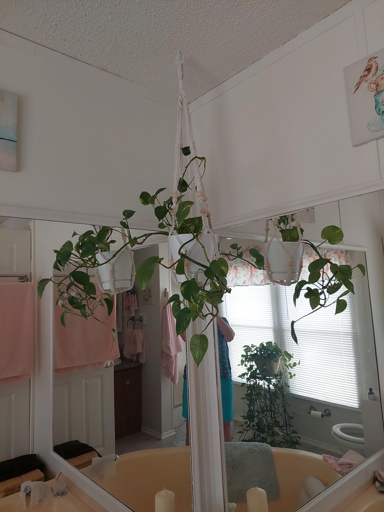 Mkono 3 Pack Macrame Plant Hangers Hanging Planters for Indoor Plants Brown customer photo 2