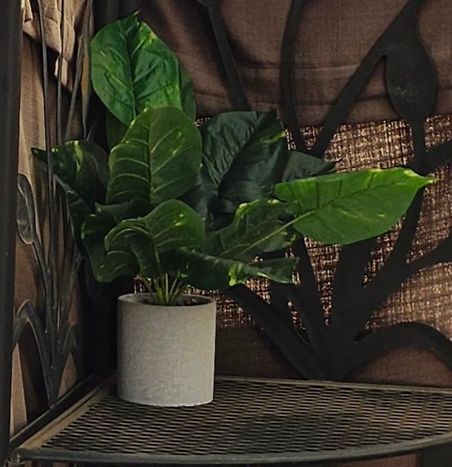 JC nateva 16 Inch Fake Plant, Tropical Potted Plant for Desk & Shelf Decor customer photo 1