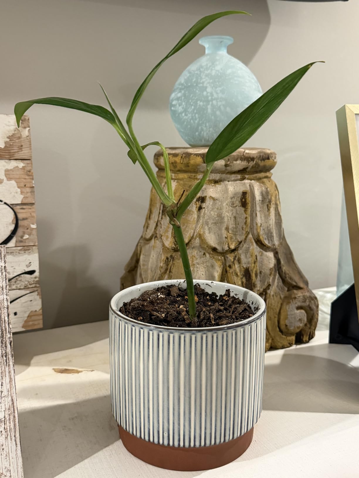 LE TAUCI Ceramic Plant Pots with Drainage Holes, Set of 3, 8+6.7+5.5 Inch Stripe Garden Planter Pots for Outdoor Indoor Plants Flower, Round Succulent Orchid Flower Pot, Reactive Glaze Black customer photo 1