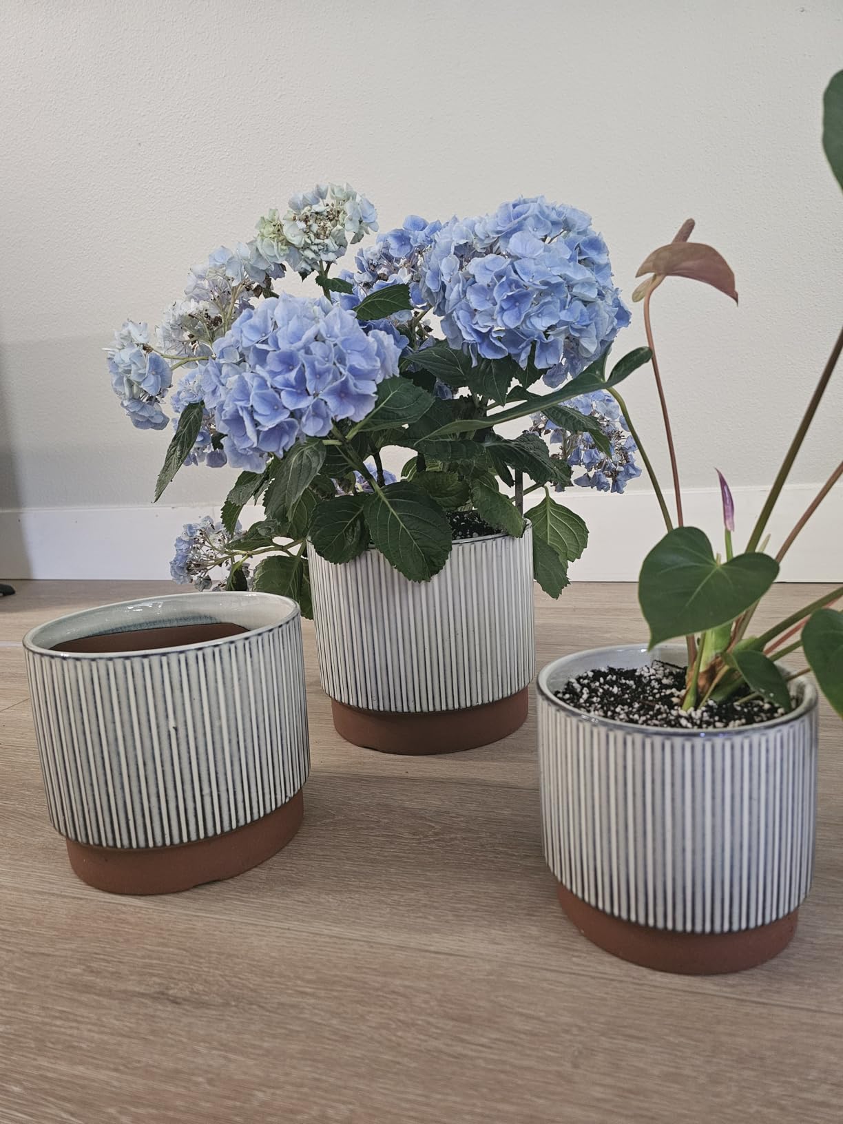 LE TAUCI Ceramic Plant Pots with Drainage Holes, Set of 3, 8+6.7+5.5 Inch Stripe Garden Planter Pots for Outdoor Indoor Plants Flower, Round Succulent Orchid Flower Pot, Reactive Glaze Black customer photo 2