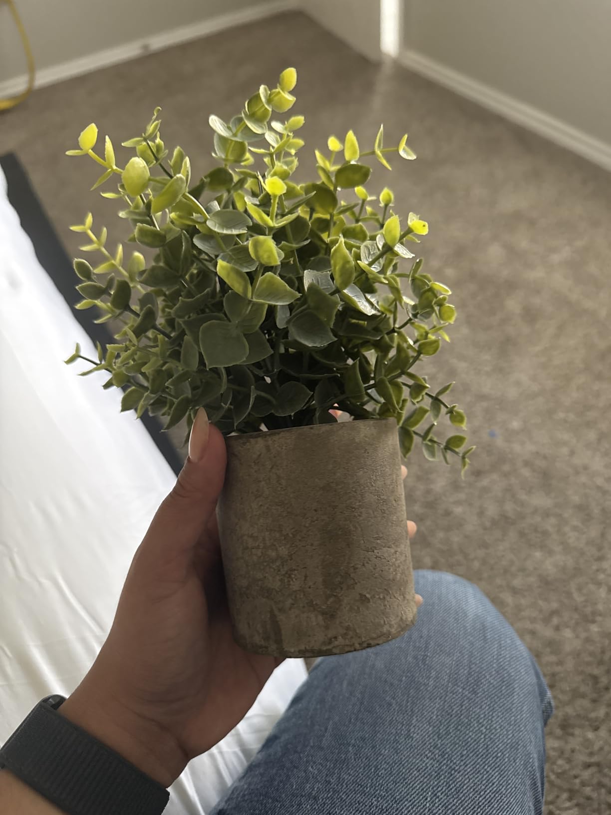 Coferset 2 Pack Small Fake Plants Eucalyptus Potted,Sage Green customer photo 1