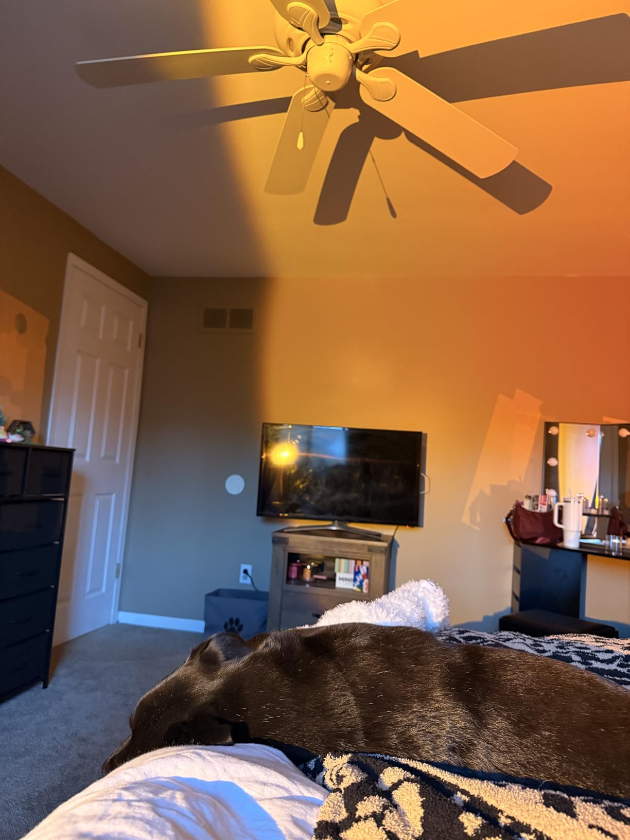 Tsrarey Sunset Lamp Projector,180 Degree Rotation Sun Projection Light customer photo 2