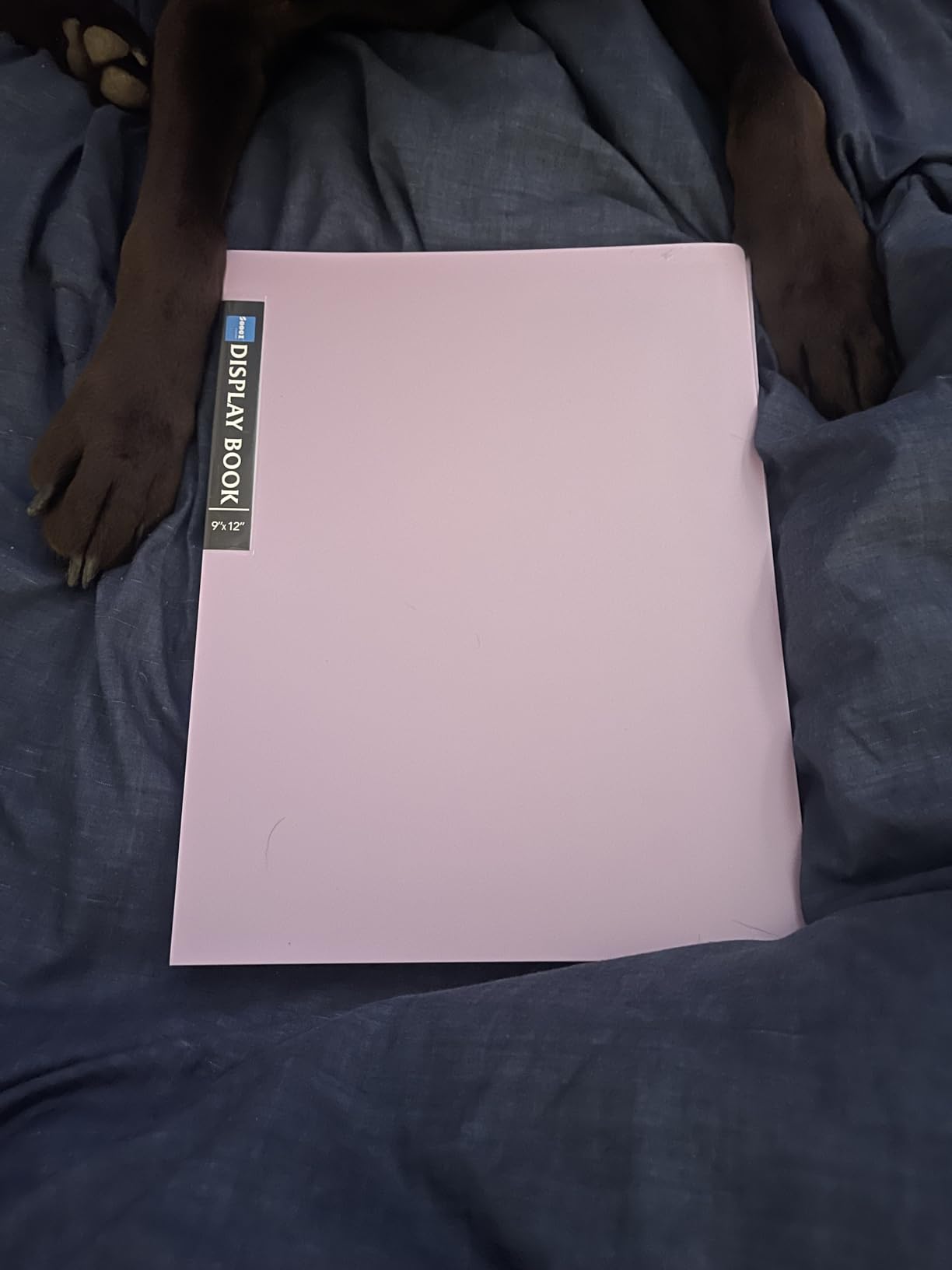 Sooez Art Portfolios 11x17, Portfolio Folder with 30 Pockets & Black Inner customer photo 2