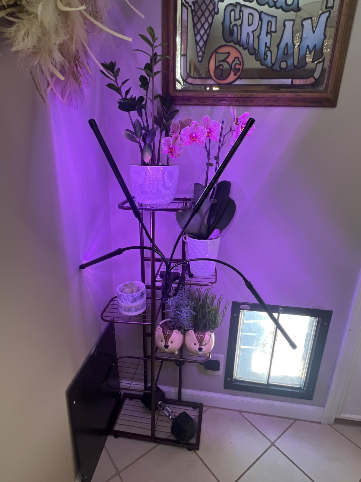 LINZINAR 4 Tier Plant Stand Indoor Outdoor Metal Flower Pot Display Shelf customer photo 1