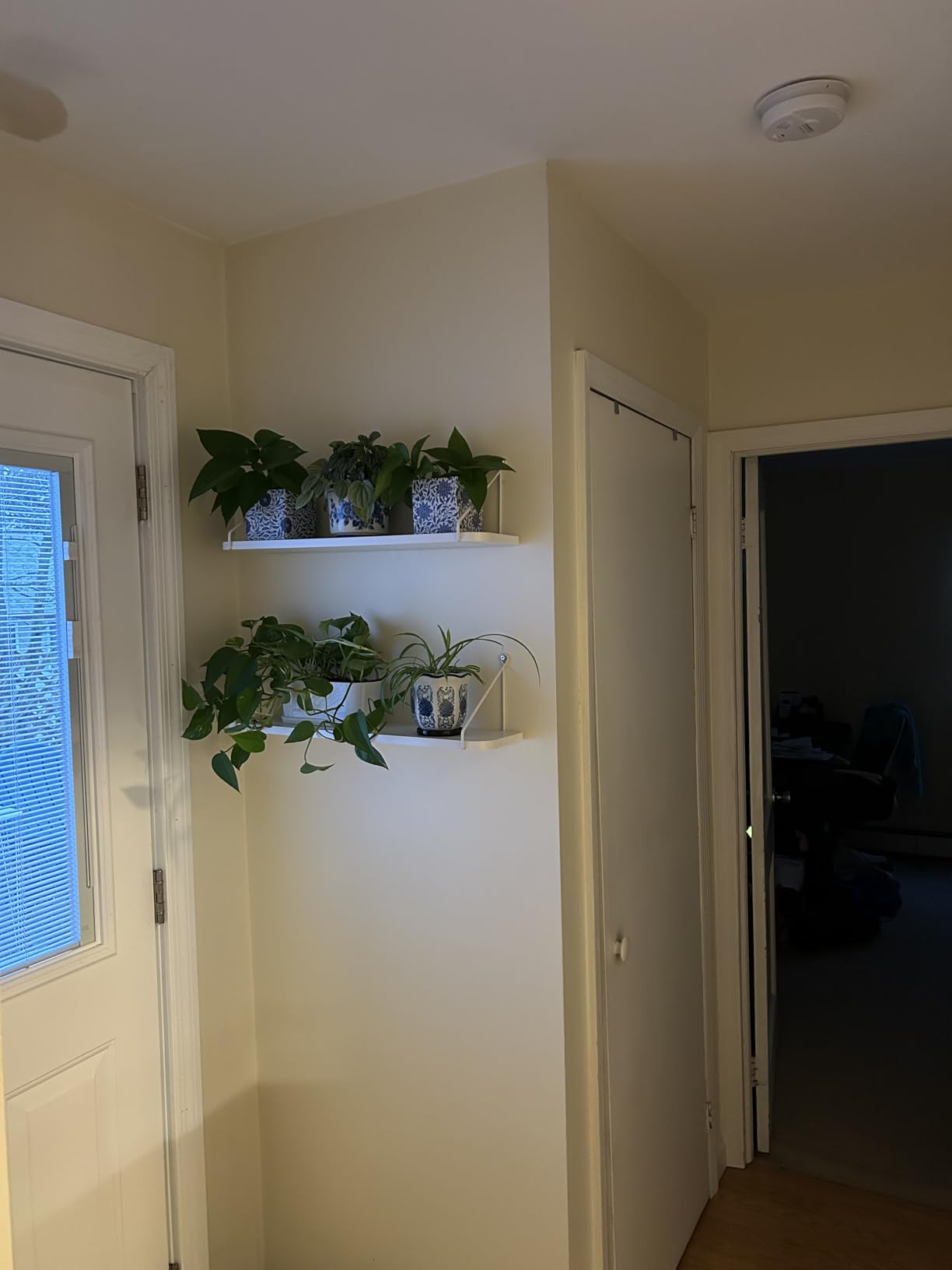 Afuly Floating Shelves for Wall, White and Gold Shelf, Display Wall Shelves customer photo 1