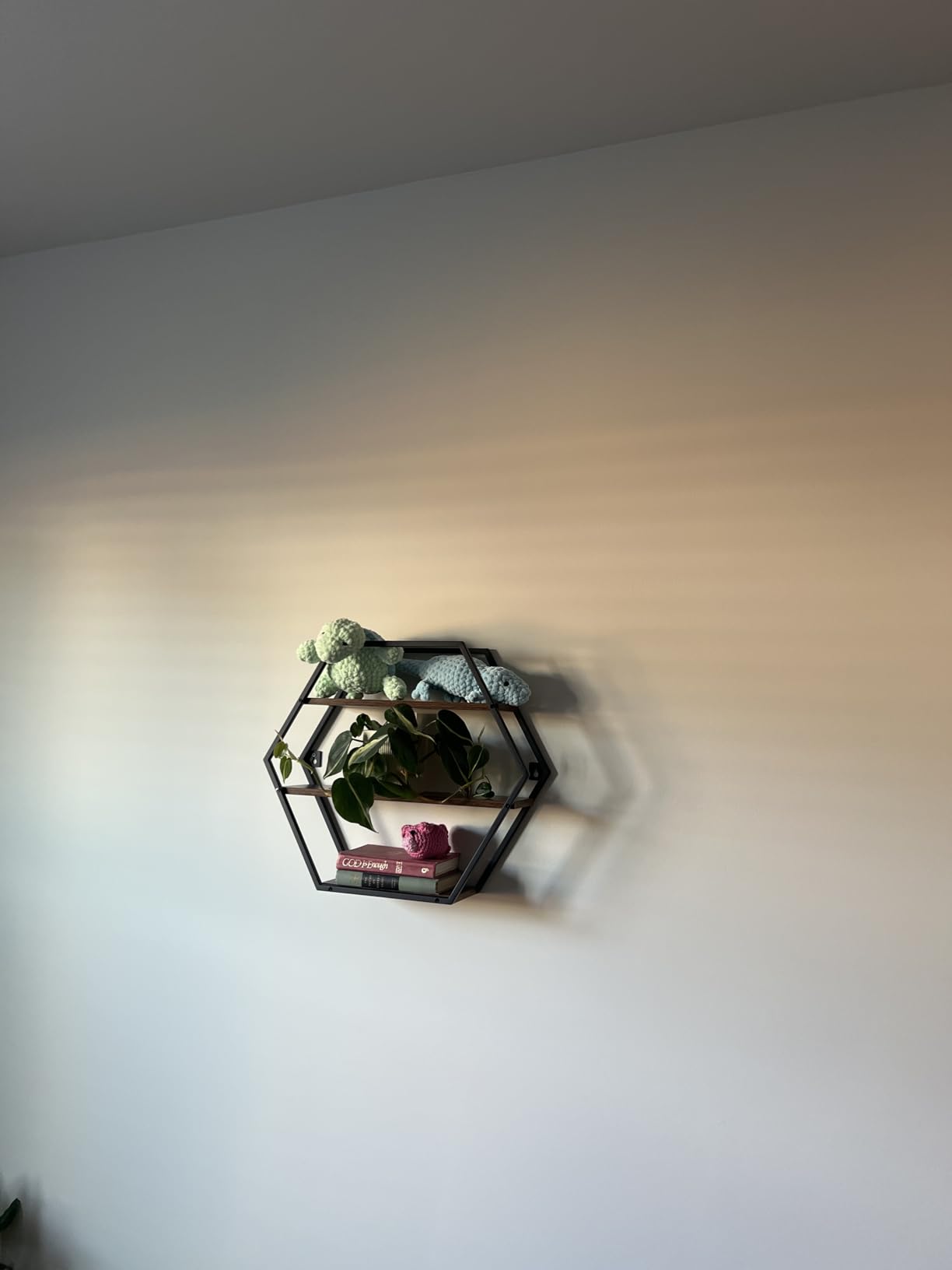 Hexagon Shelves for Wall, Decorative Hexagon Floating Shelves customer photo 1