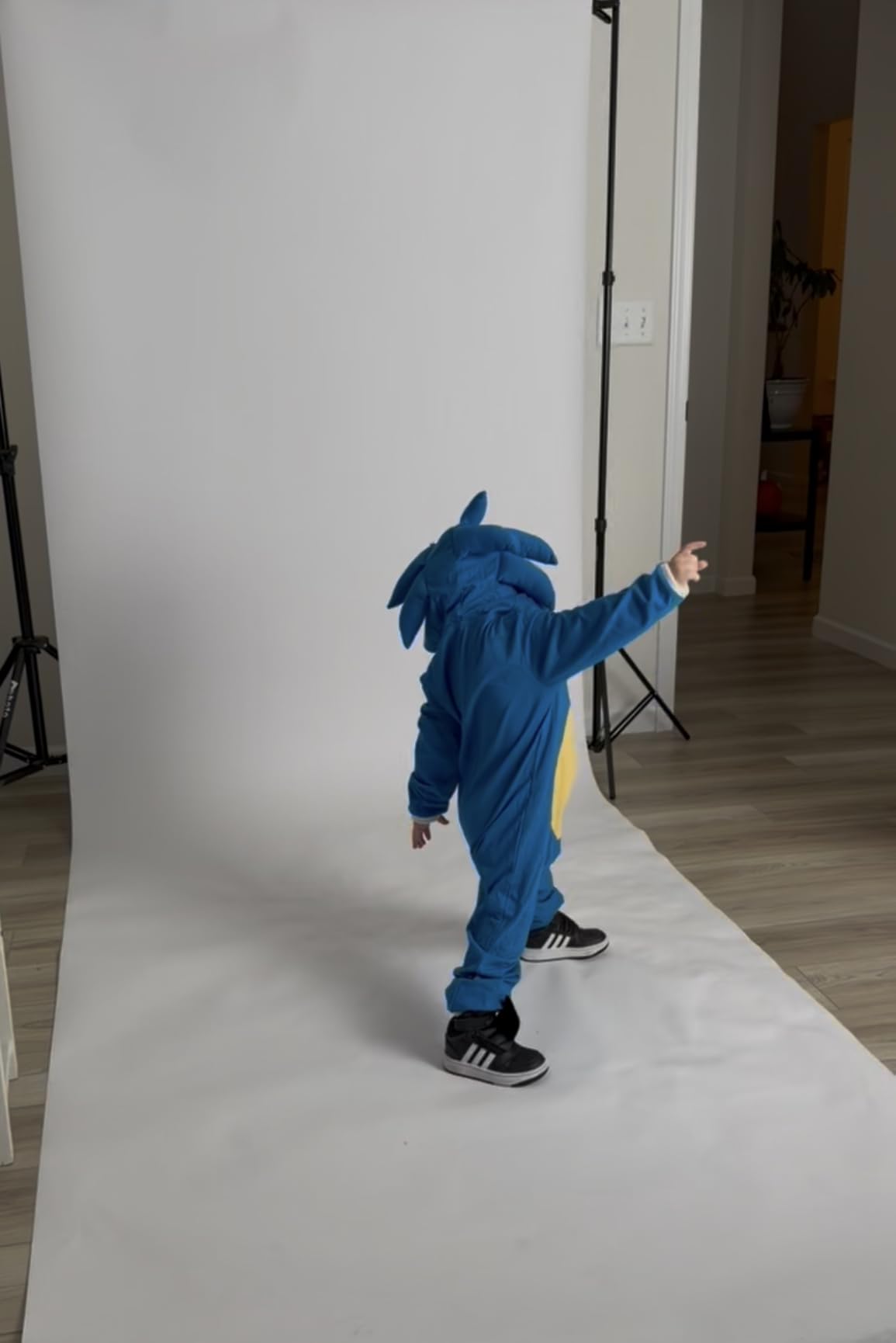 Neewer T-Shaped Background Backdrop Support Stand Kit, 8.5ft/2.6m Tall Adjustable Tripod Stand and 5ft/1.5m Wide Crossbars with 6 Spring Clamps and 1 Carrying Bag for Studio Photo Video Photography customer photo 2