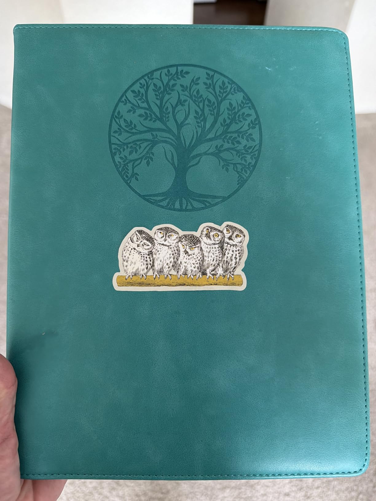 Biuwory Leather Journal Notebook,256 Thick Lined Pages,Hardcover 5.7
