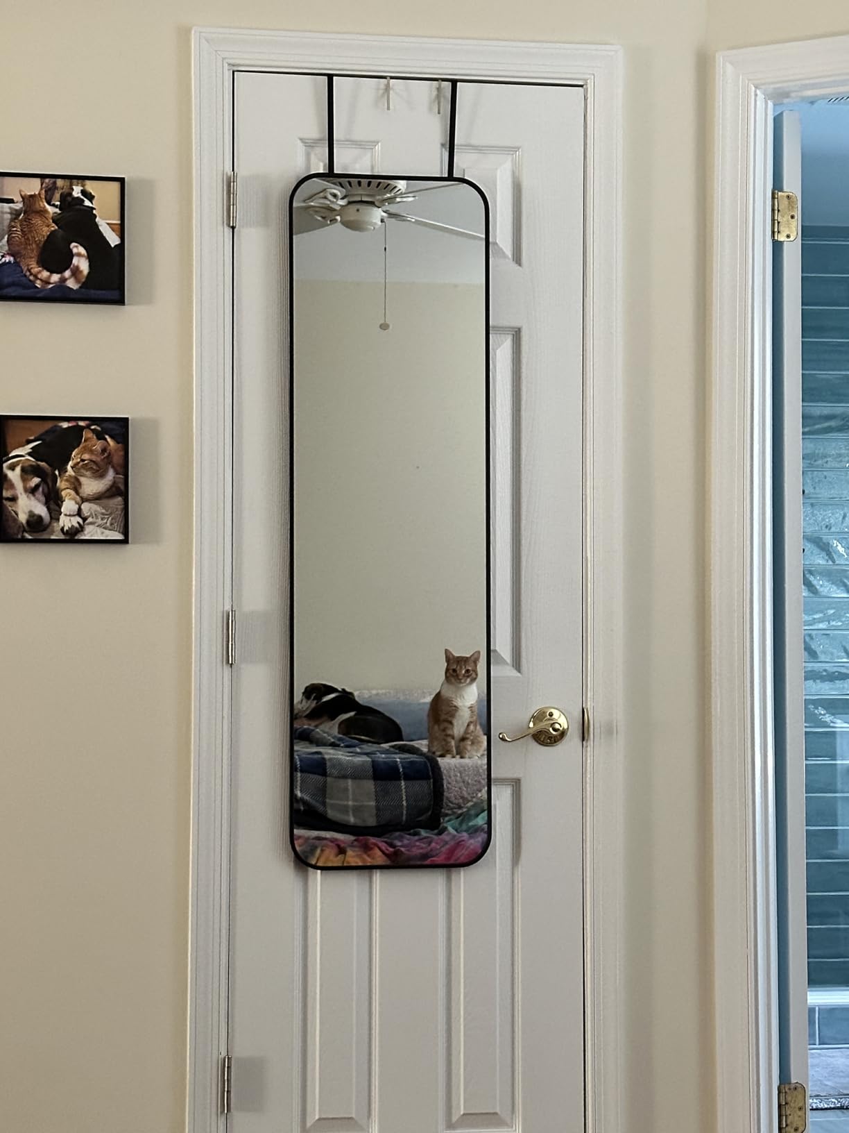 SCWF-GZ 47x14 Full Length Mirror Over the Door Hang or Wall Mounted Black customer photo 1