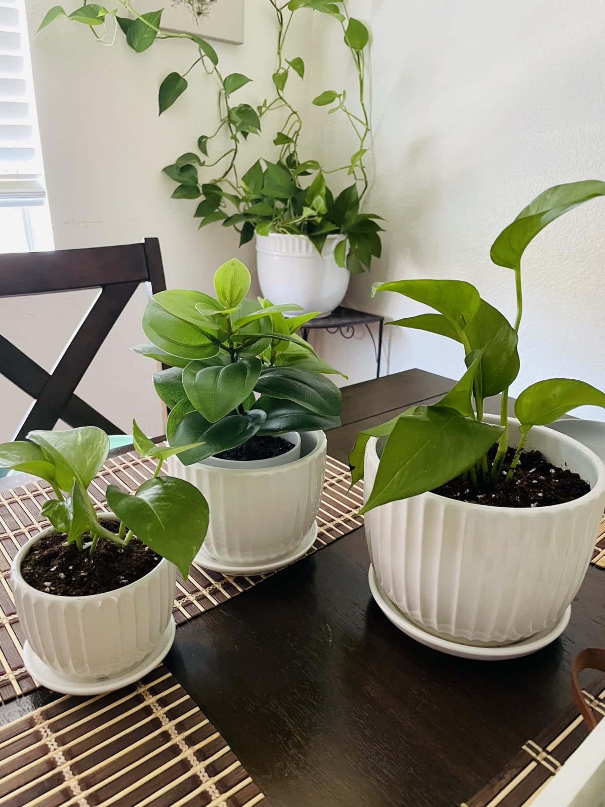 Gray Flower Pots, Texture Ceramic Plant Pots for Indoor Plants Set of 3 customer photo 1