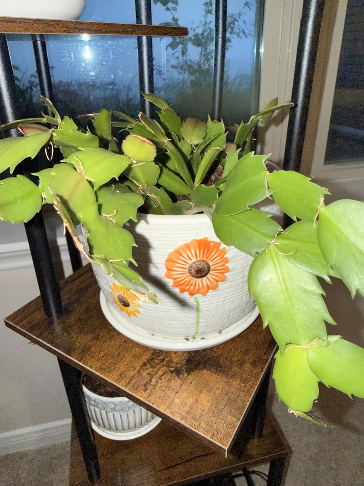 Gray Flower Pots, Texture Ceramic Plant Pots for Indoor Plants Set of 3 customer photo 2