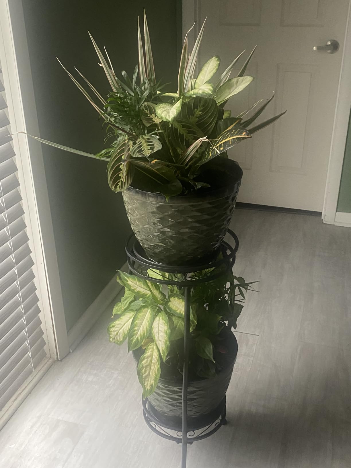 Kavlium Plant Stand Indoor Outdoor, Tall Black Metal, 2 Tier 27.1 Inch customer photo 1