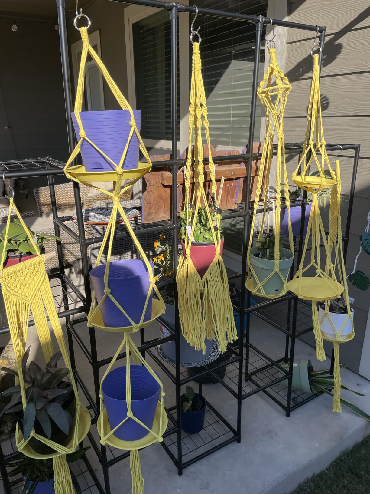 SFENNGPET Macrame Plant Hangers, 6Pack Hanging Planters for Indoor Plants customer photo 2