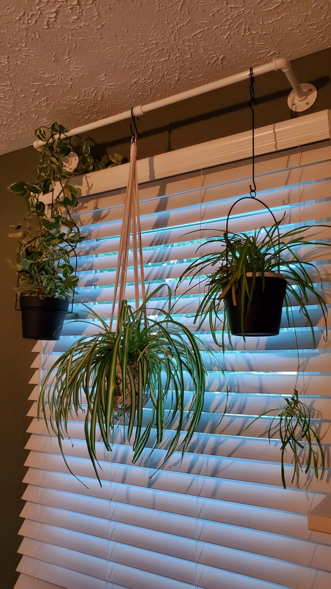 Bamworld Hanging Planters for Indoor Plants Plant Hanger Indoor customer photo 2