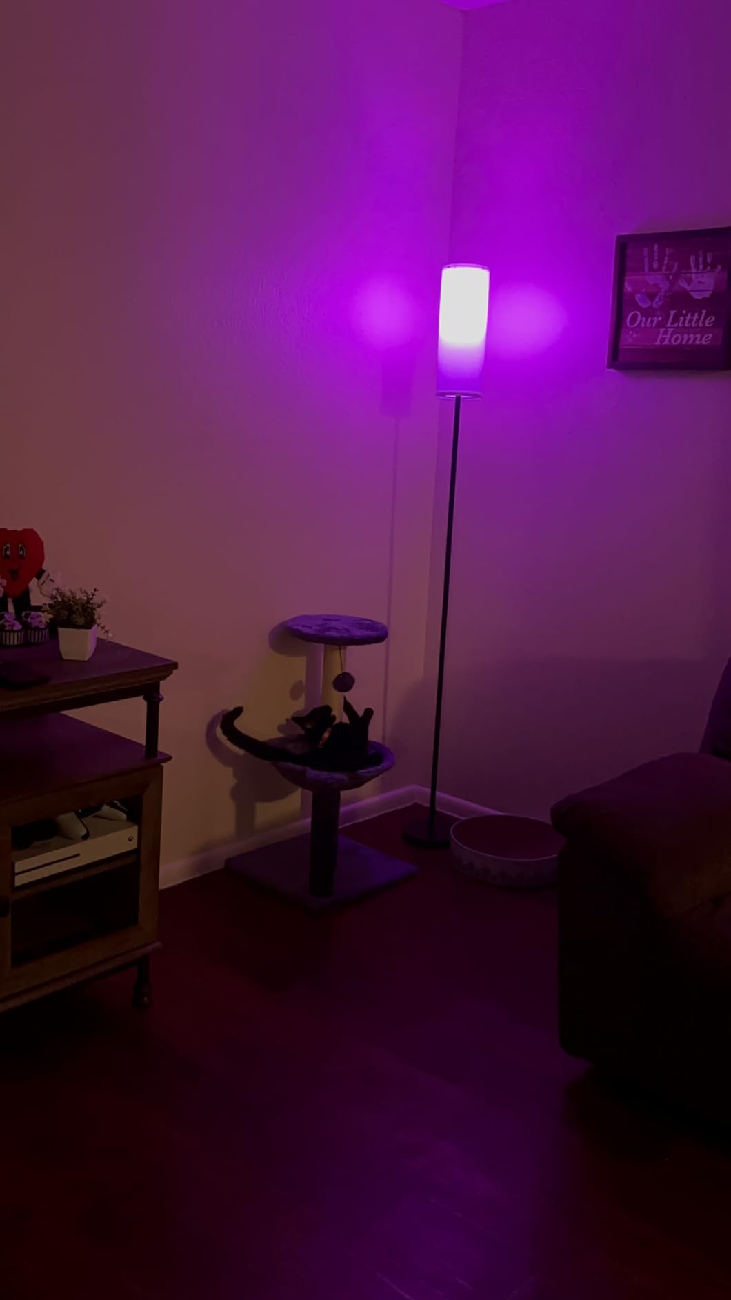 Qaubauyt Smart LED Floor Lamp with APP Control & RGB Colors - Dimmable Standing Lamp for Living Room, Bedroom, Gaming - Remote, Timer, 9W Bulb Included, 67
