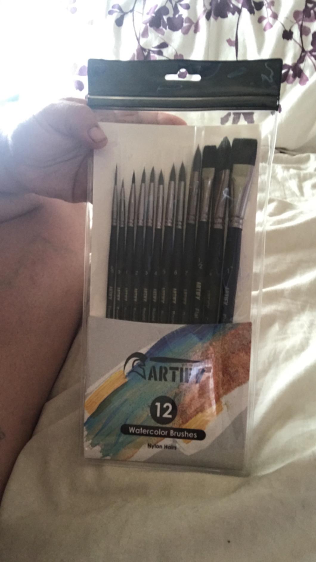 ARTIFY 12 PCS Watercolor Brushes Set, Premium Bionic Hair Brushes for Watercolor, Gouache, Fluid Acrylic - Detail, Round, Flat, Cat's Tongue, Liner customer photo 1