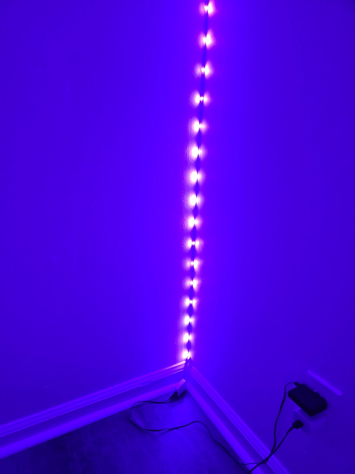 REEMEER Led Lights 100ft Smart APP Control Music Sync Strip Lights RGB Color Changing Strips with Remote, for Bedroom Kitchen and Party customer photo 2