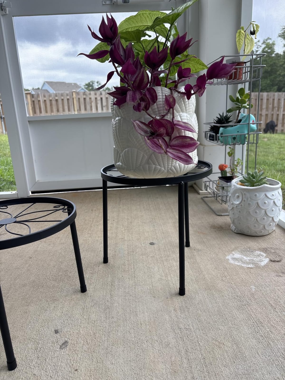 Linpla 5-Pack Decent Metal Plant Stand Indoor Outdoor Low Plant Shelf customer photo 2