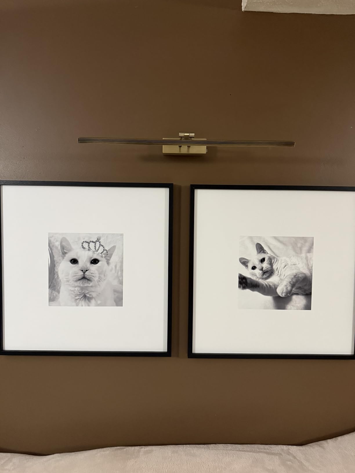 HEAGEERO Picture Lights for Wall,20in Gallery Light,5000mAh Art Light customer photo 2