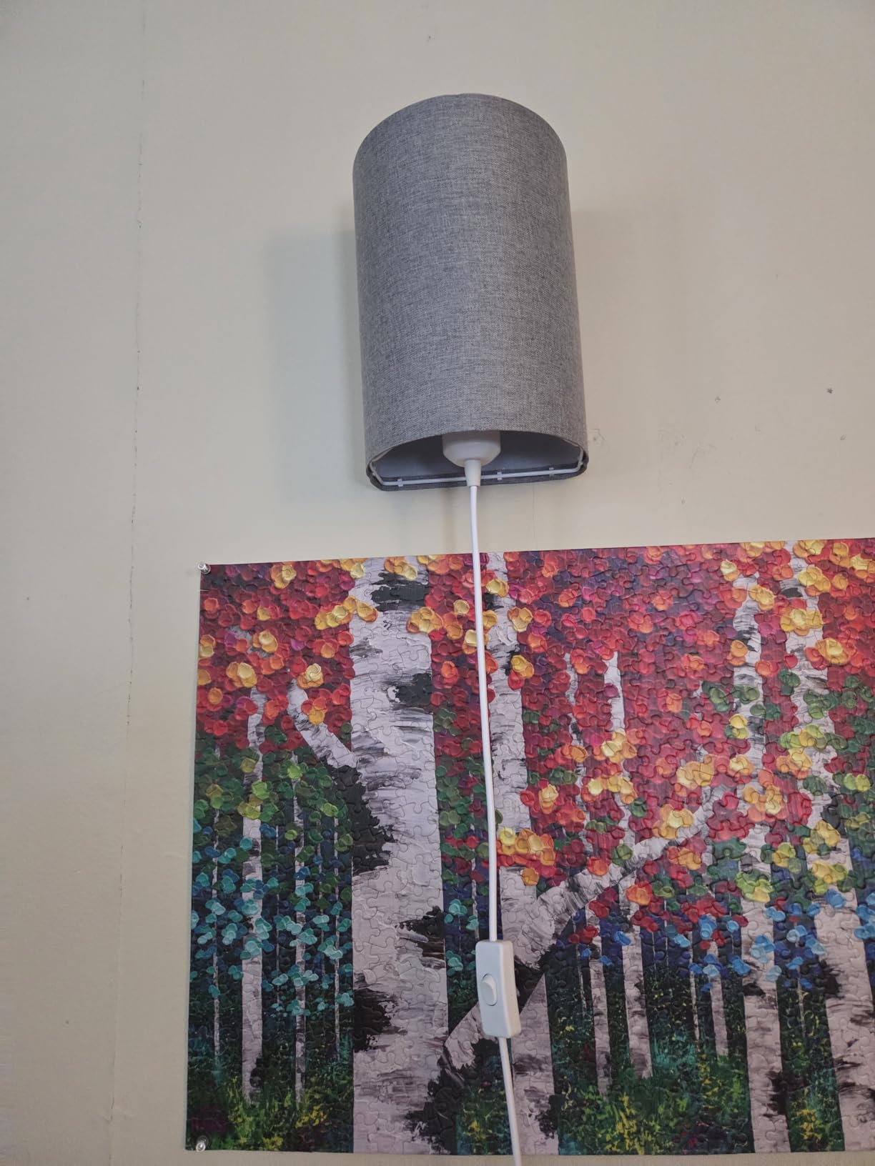 Plug in Wall Sconces with On/Off Switch, 3 Color Wall Sconces Set of Two. customer photo 1
