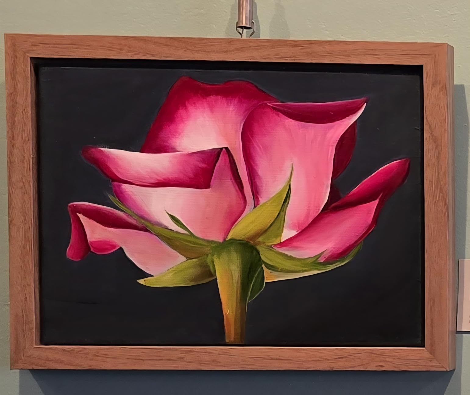 MCS Canvas Float Frame, 8x10, Walnut customer photo 1
