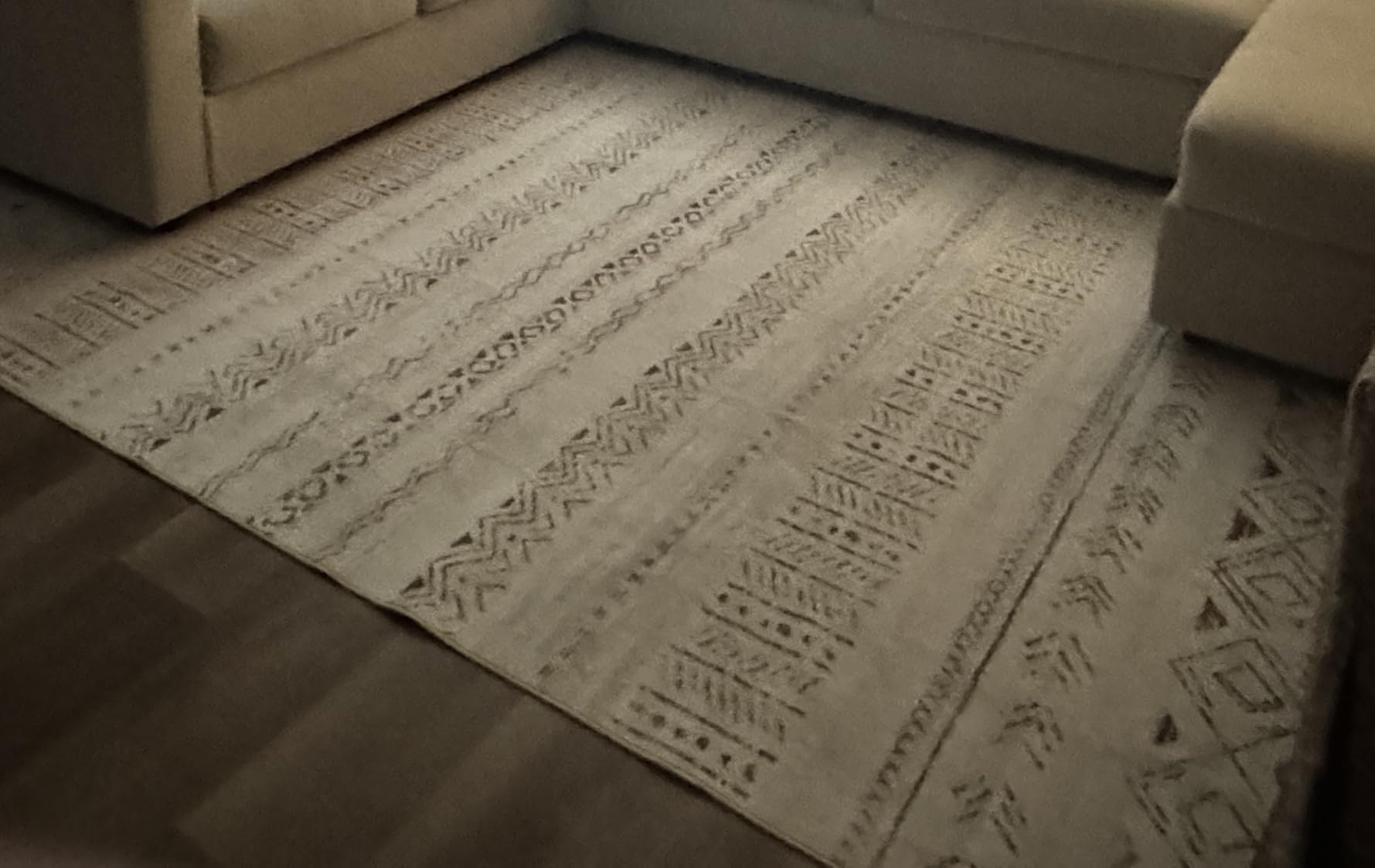 cotiled Boho 5x7 Area Rugs for Living Room: Soft Moroccan Washable Rug customer photo 1